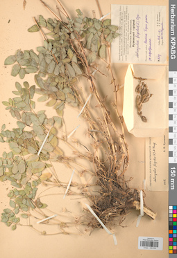 KPABG030034