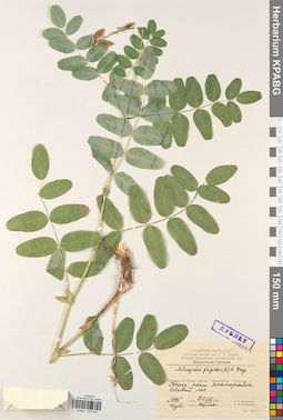 KPABG030058