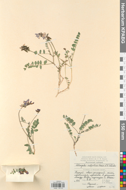 KPABG030076