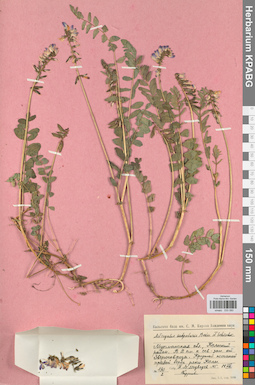 KPABG030080