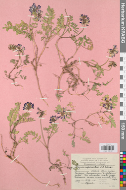 KPABG030087