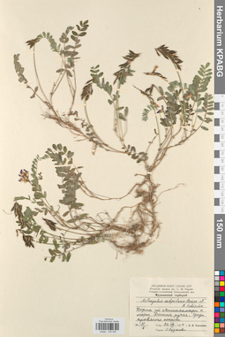 KPABG030092