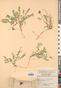 KPABG030106