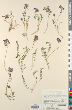 KPABG030107