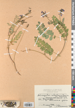 KPABG030122