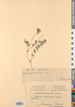 KPABG030137