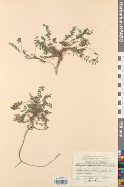 KPABG030140