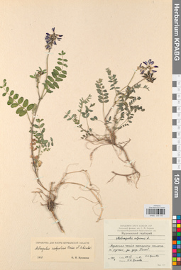 KPABG030144