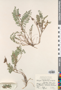 KPABG030149