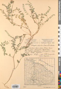 KPABG030162