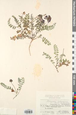 KPABG030172