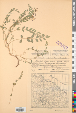 KPABG030179