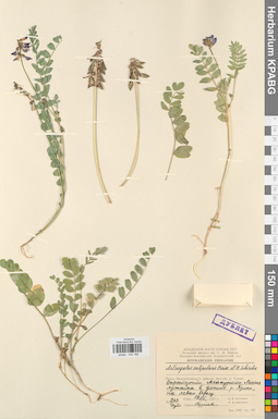 KPABG030188