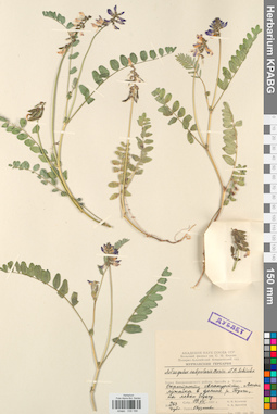 KPABG030189