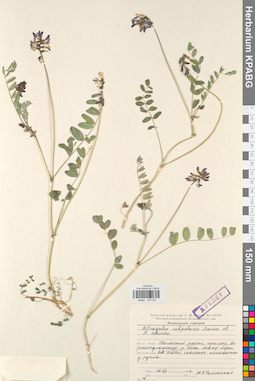 KPABG030201