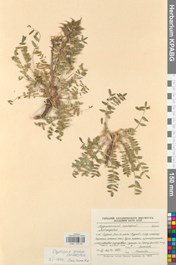 KPABG030206