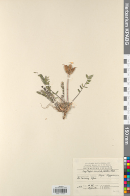 KPABG030218