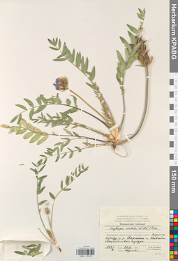 KPABG030233