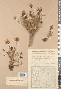 KPABG030249