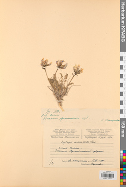 KPABG030253