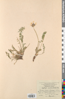 KPABG030270