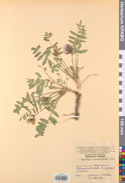 KPABG030282