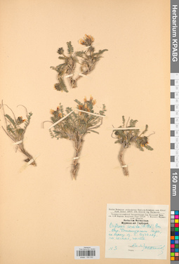 KPABG030302
