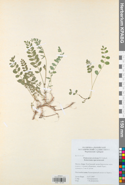 KPABG030397