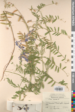 KPABG030421
