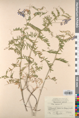 KPABG030422