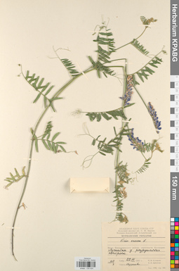 KPABG030424