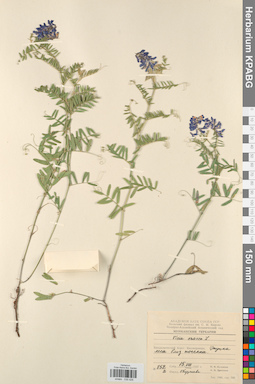 KPABG030426