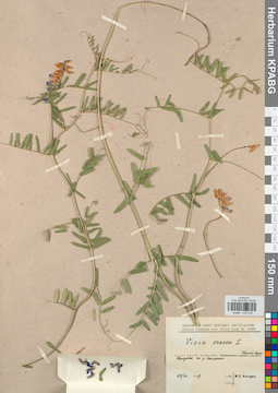 KPABG030430