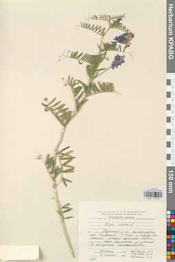 KPABG030431