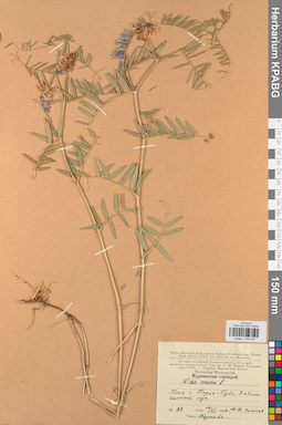 KPABG030433