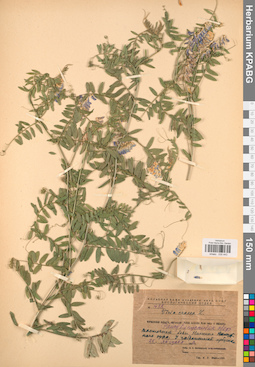 KPABG030443