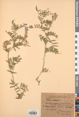 KPABG030444