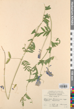 KPABG030445