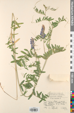 KPABG030458