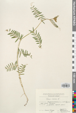 KPABG030464