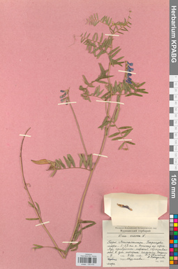 KPABG030476