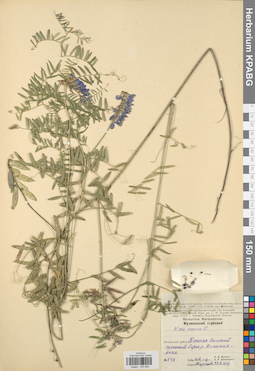 KPABG030480