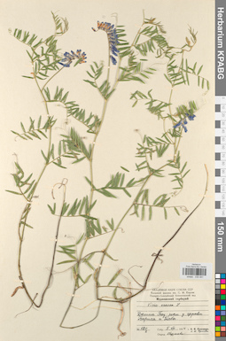 KPABG030481
