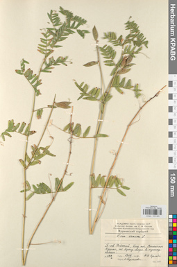 KPABG030483