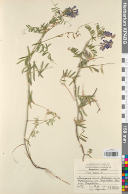 KPABG030491