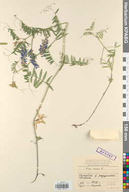 KPABG030503