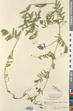 KPABG030505