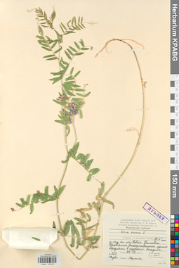 KPABG030507