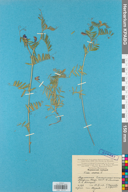 KPABG030512