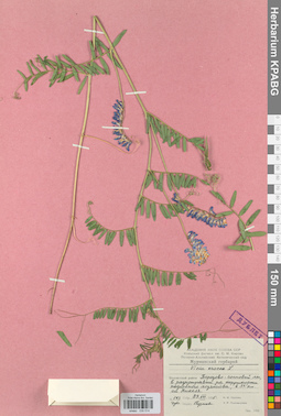 KPABG030514